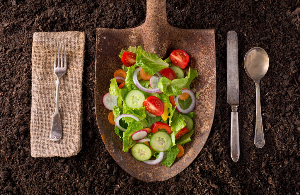 garden salad on a shovel